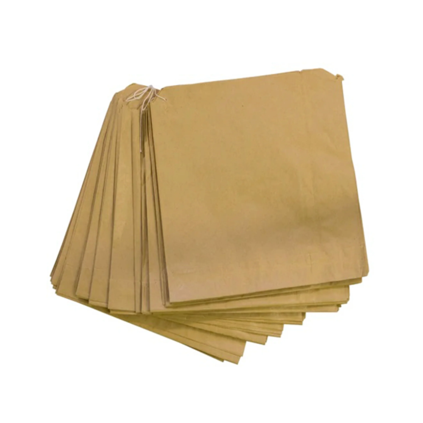 10" x 10" Brown Kraft Paper Bags Strung (Compostable)